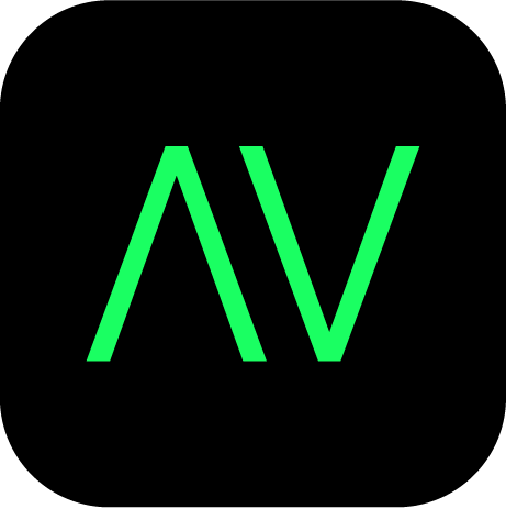AssetVision